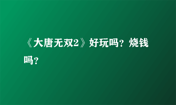 《大唐无双2》好玩吗？烧钱吗？