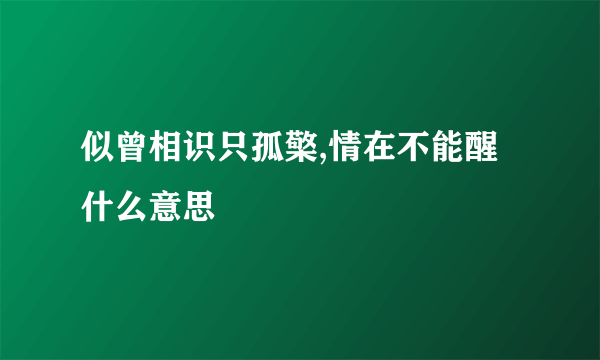 似曾相识只孤檠,情在不能醒 什么意思