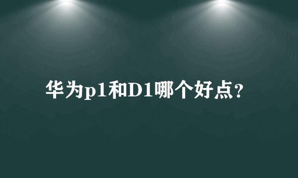 华为p1和D1哪个好点？