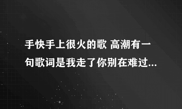 手快手上很火的歌 高潮有一句歌词是我走了你别在难过是什么歌？