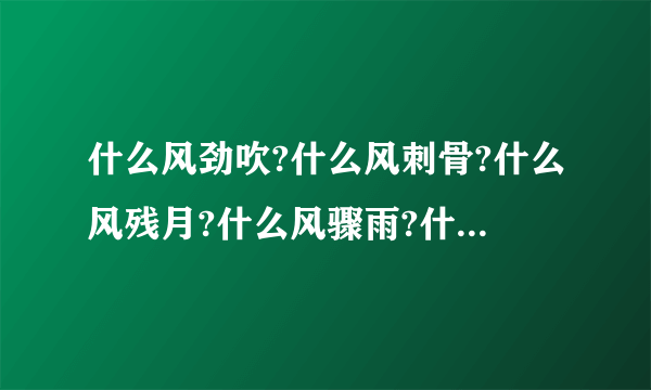 什么风劲吹?什么风刺骨?什么风残月?什么风骤雨?什么风徐来?