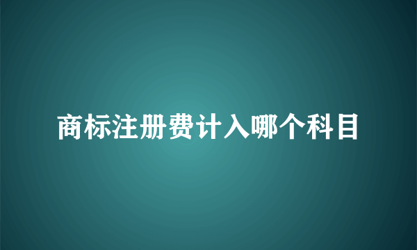 商标注册费计入哪个科目