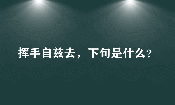 挥手自兹去，下句是什么？