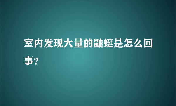 室内发现大量的鼬蜓是怎么回事？