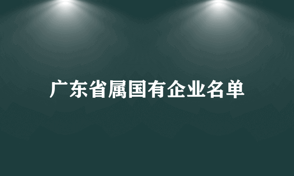 广东省属国有企业名单