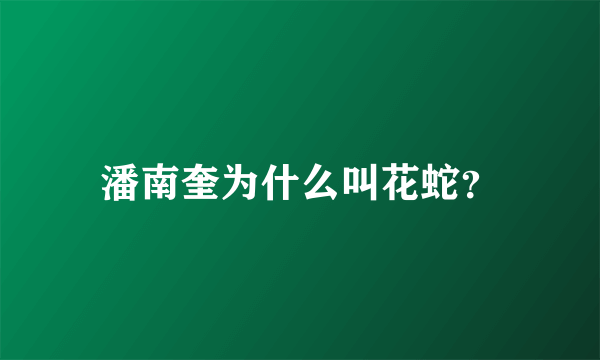 潘南奎为什么叫花蛇？