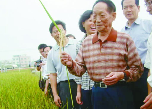 袁隆平的大米有人吃吗？