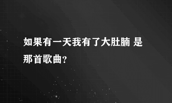 如果有一天我有了大肚腩 是那首歌曲？