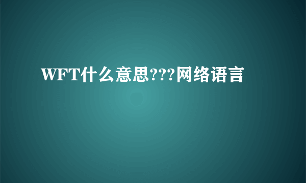 WFT什么意思???网络语言