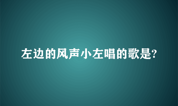 左边的风声小左唱的歌是?