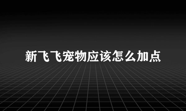 新飞飞宠物应该怎么加点