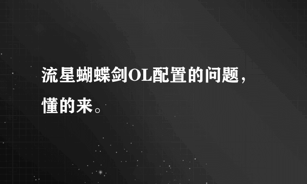 流星蝴蝶剑OL配置的问题，懂的来。