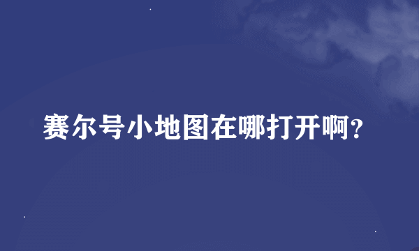 赛尔号小地图在哪打开啊？