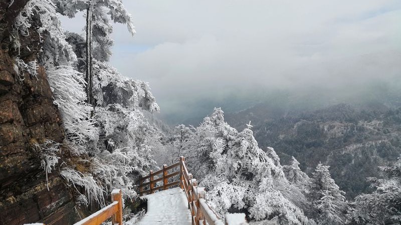 祁连山景区突降大雪，现场的情况如何?