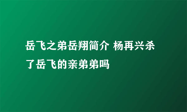 岳飞之弟岳翔简介 杨再兴杀了岳飞的亲弟弟吗