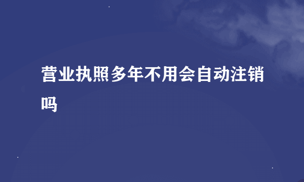 营业执照多年不用会自动注销吗