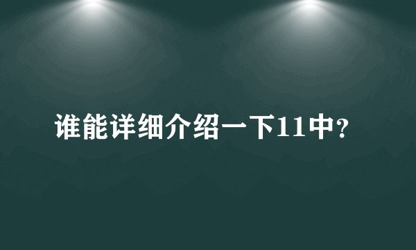 谁能详细介绍一下11中？