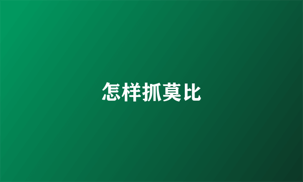 怎样抓莫比