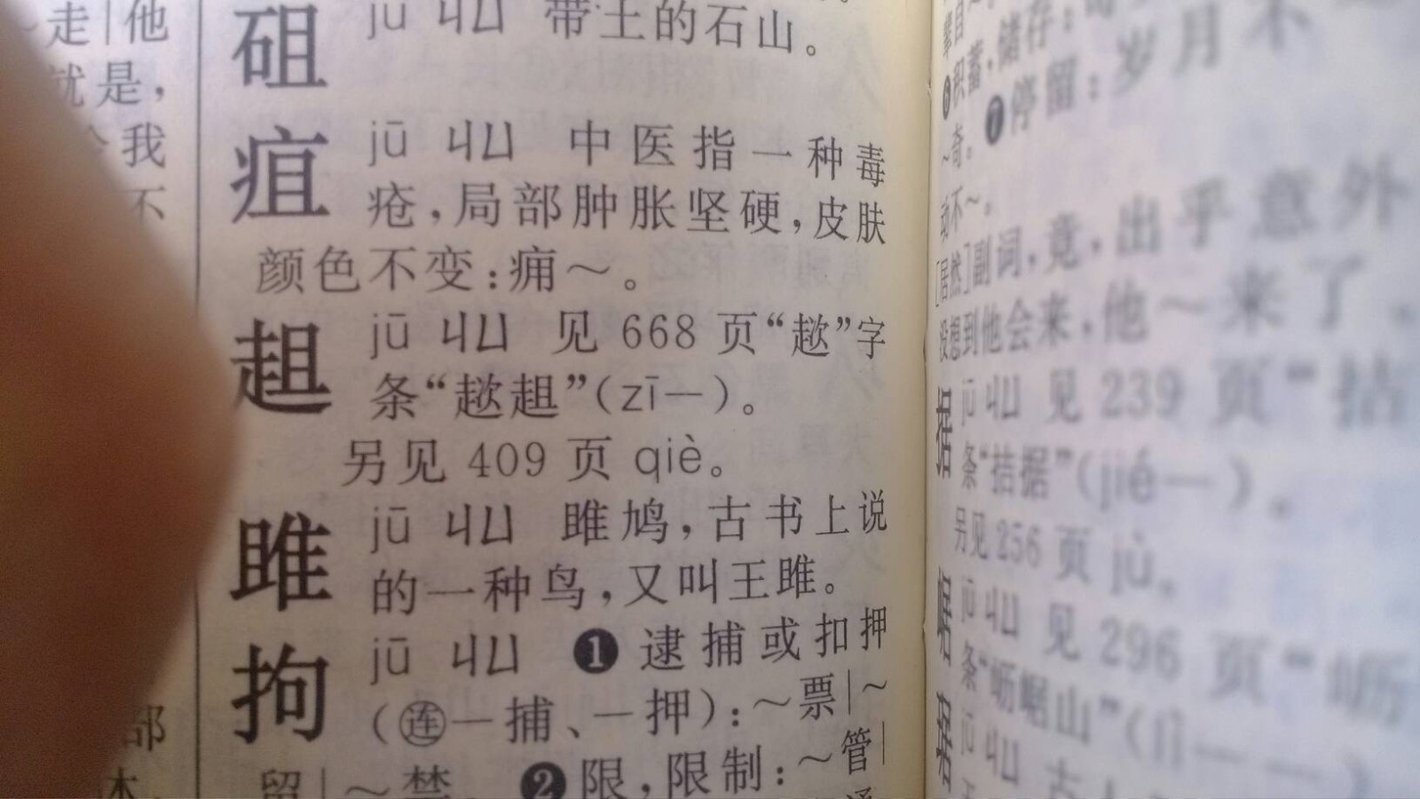 病字头加一个“且”是什么字