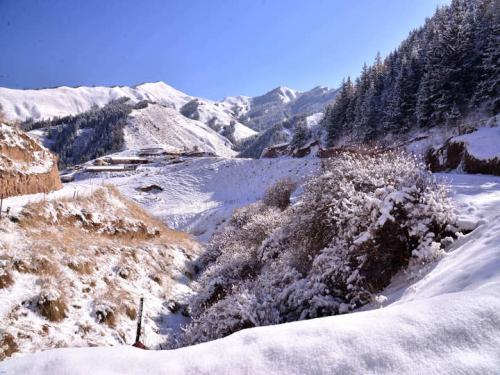 青海祁连山突降大雪，对当地游客有何影响？