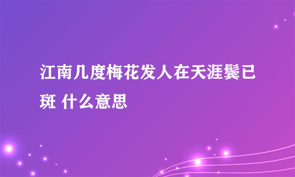 江南几度梅花发人在天涯鬓已斑 什么意思