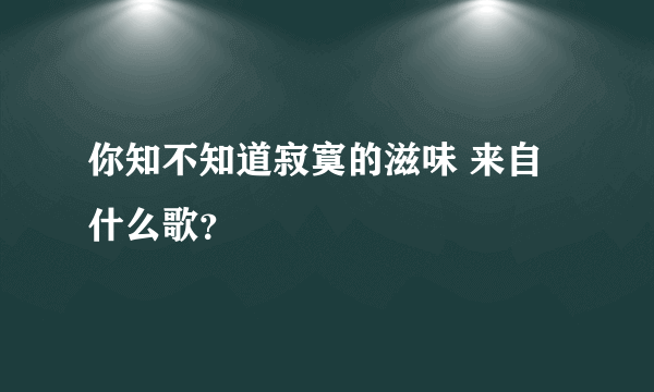 你知不知道寂寞的滋味 来自什么歌？