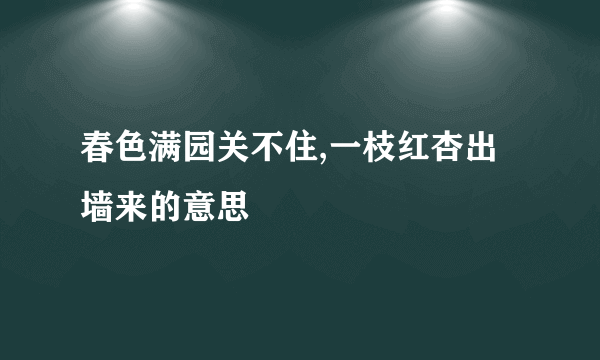 春色满园关不住,一枝红杏出墙来的意思