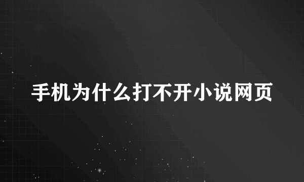 手机为什么打不开小说网页