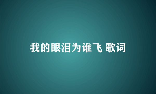 我的眼泪为谁飞 歌词