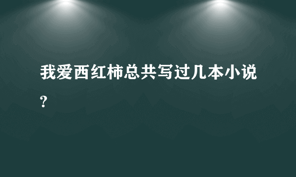 我爱西红柿总共写过几本小说?