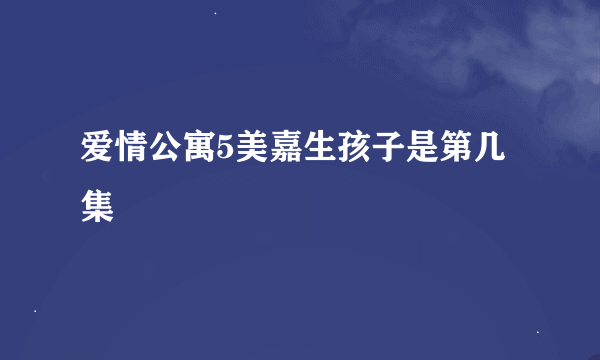 爱情公寓5美嘉生孩子是第几集