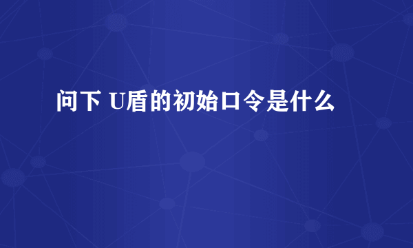 问下 U盾的初始口令是什么