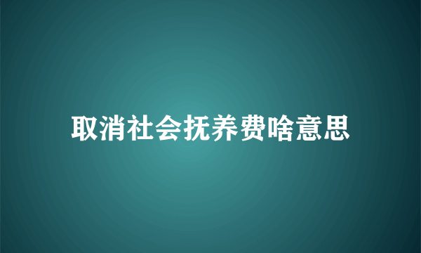 取消社会抚养费啥意思