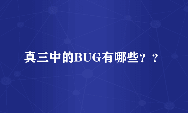 真三中的BUG有哪些？？