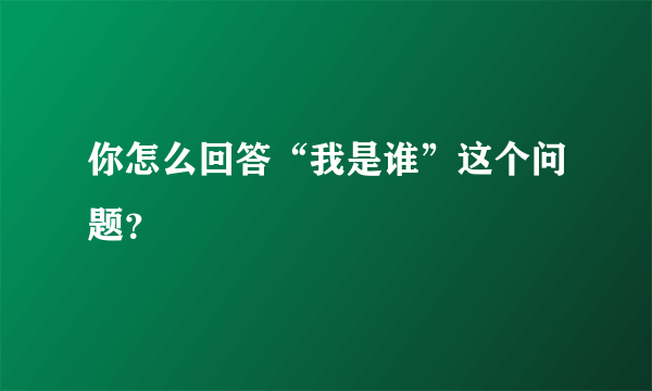 你怎么回答“我是谁”这个问题？