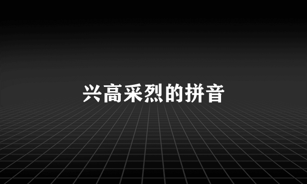 兴高采烈的拼音