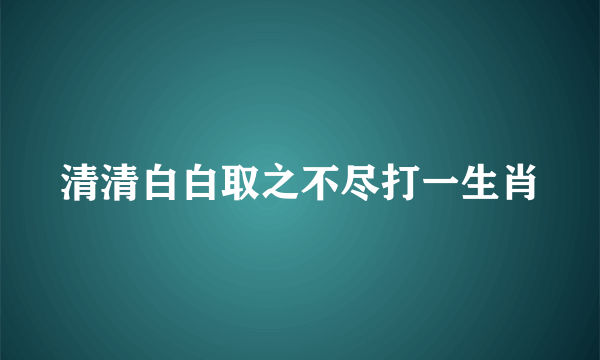 清清白白取之不尽打一生肖