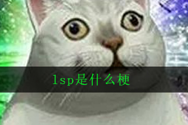 lsp是什么梗