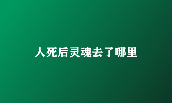 人死后灵魂去了哪里