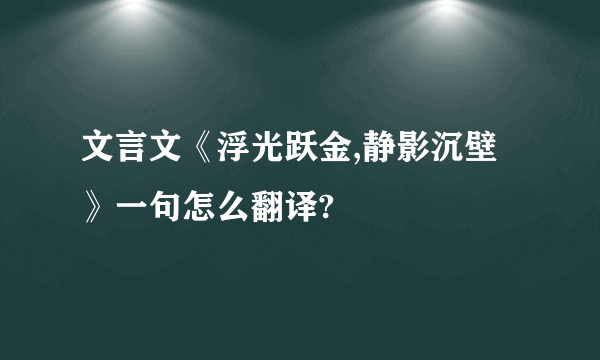 文言文《浮光跃金,静影沉壁》一句怎么翻译?