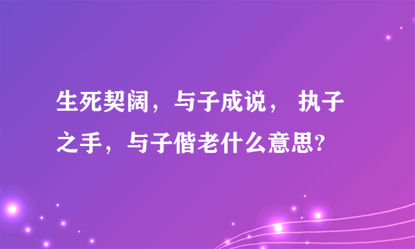 生死契阔，与子成说， 执子之手，与子偕老什么意思?