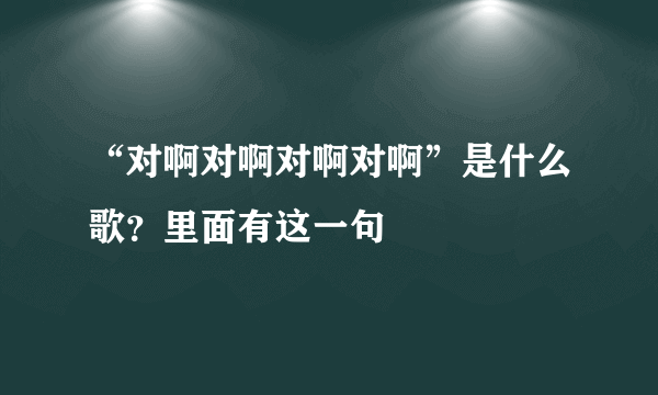 “对啊对啊对啊对啊”是什么歌？里面有这一句