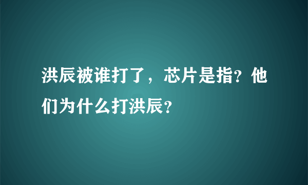 洪辰被谁打了，芯片是指？他们为什么打洪辰？