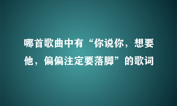 哪首歌曲中有“你说你，想要他，偏偏注定要落脚”的歌词