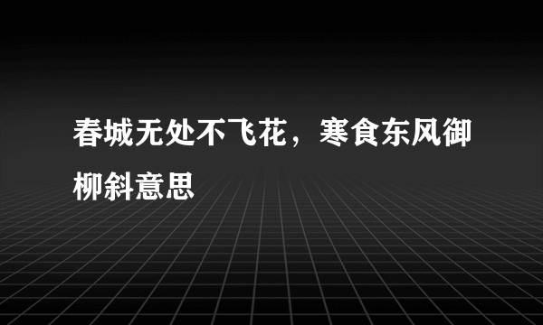 春城无处不飞花，寒食东风御柳斜意思