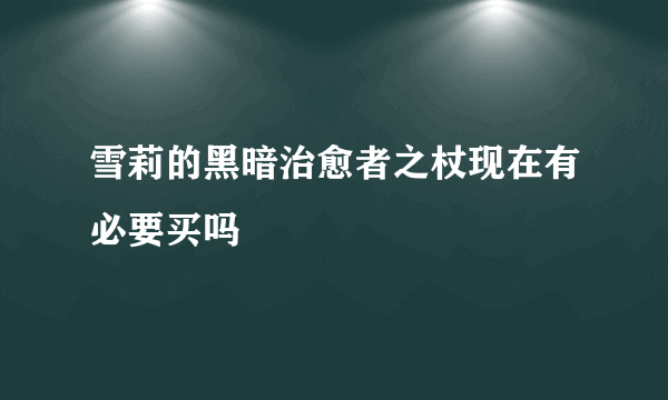 雪莉的黑暗治愈者之杖现在有必要买吗