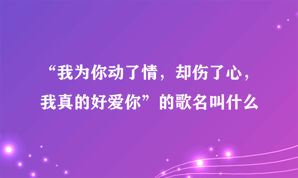 “我为你动了情，却伤了心，我真的好爱你”的歌名叫什么