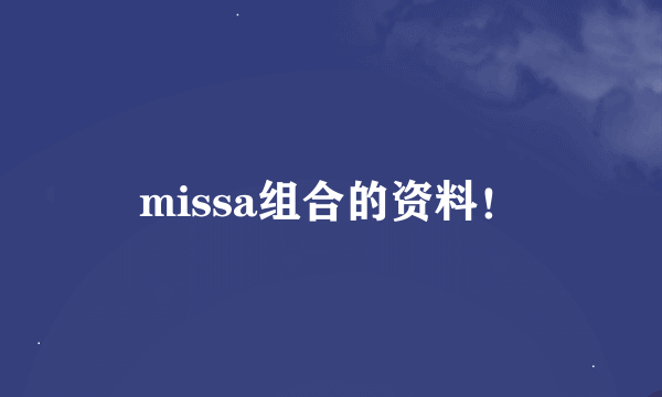 missa组合的资料！