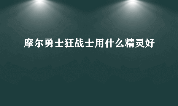 摩尔勇士狂战士用什么精灵好