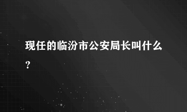 现任的临汾市公安局长叫什么？